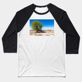 Zebras in the Shadow of the Only Tree - Etosha, Namibia Baseball T-Shirt